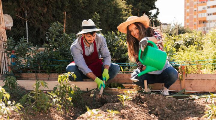 Jardinagem: Como essa Prática Pode Melhorar sua Saúde Física e Mental em 6 Maneiras Simples